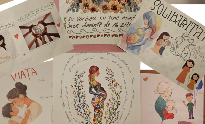 Atelier creativ Pro Viață 7