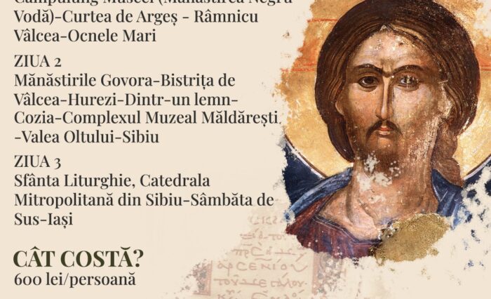 668186080_1389233103238335_830484191070828768_n